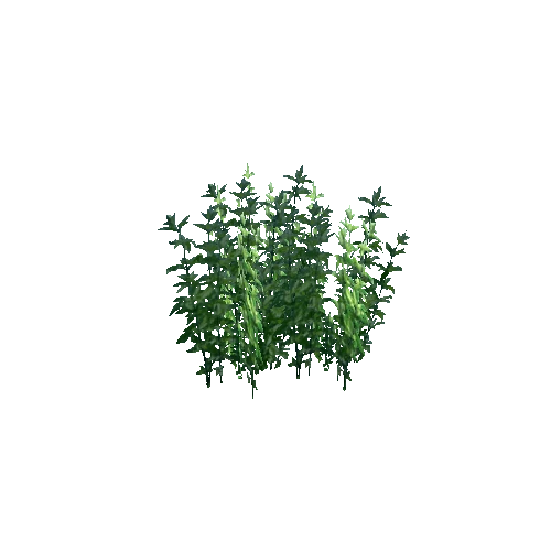 small plant8
